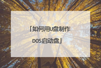 如何用U盘制作DOS启动盘
