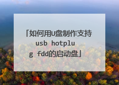 如何用U盘制作支持usb hotplug fdd的启动盘