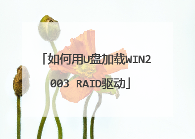 如何用U盘加载WIN2003 RAID驱动
