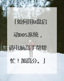 如何用U盘启动DOS系统,请电脑高手帮帮忙!加高分。