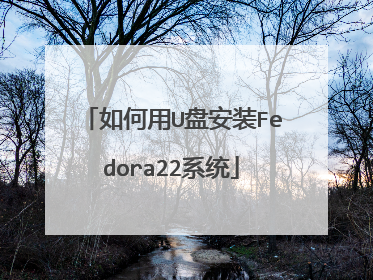 如何用U盘安装Fedora22系统