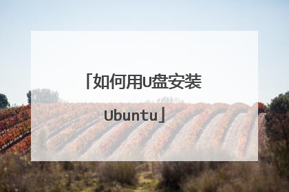 如何用U盘安装Ubuntu