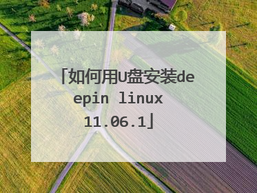 如何用U盘安装deepin linux11.06.1