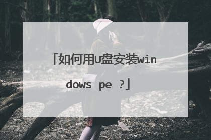 如何用U盘安装windows pe ?