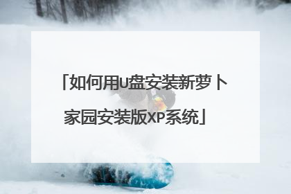 如何用U盘安装新萝卜家园安装版XP系统