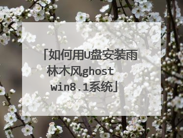 如何用U盘安装雨林木风ghost win8.1系统