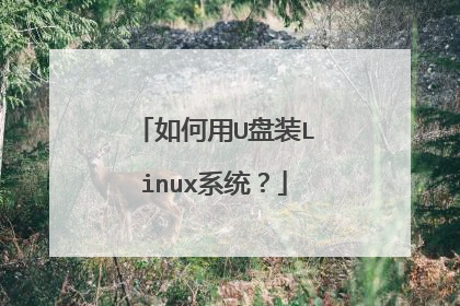 如何用U盘装Linux系统?
