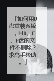 如何用U盘重装系统,且D、E、F盘的文件不删除?求高手帮助。