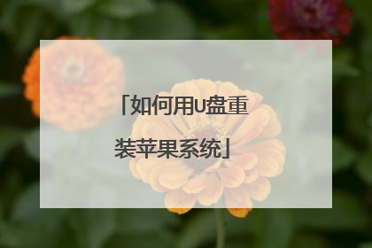如何用U盘重装苹果系统