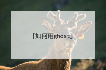 如何用ghost