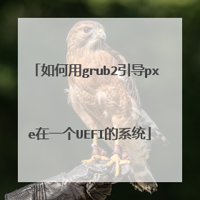 如何用grub2引导pxe在一个UEFI的系统