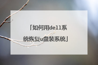 如何用dell系统恢复u盘装系统