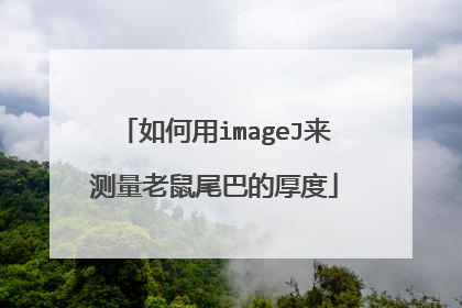 如何用imageJ来测量老鼠尾巴的厚度