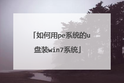 如何用pe系统的u盘装win7系统