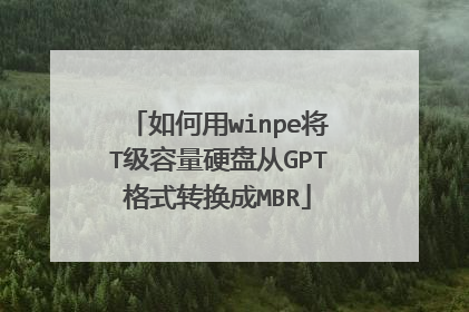 如何用winpe将T级容量硬盘从GPT格式转换成MBR