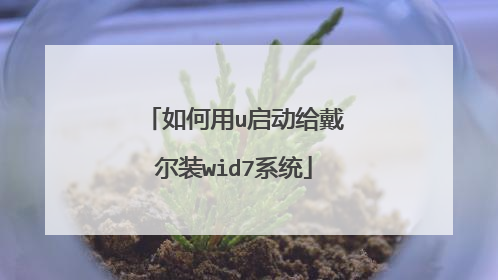 如何用u启动给戴尔装wid7系统