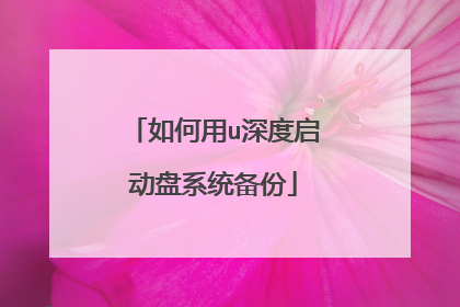 如何用u深度启动盘系统备份
