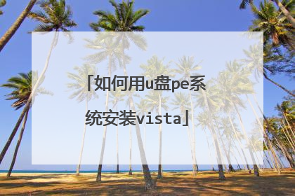 如何用u盘pe系统安装vista