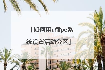 如何用u盘pe系统设置活动分区