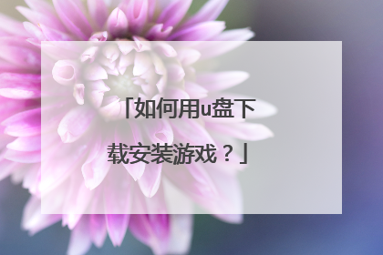 如何用u盘下载安装游戏?
