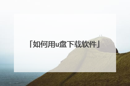 如何用u盘下载软件