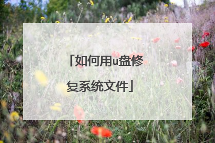 如何用u盘修复系统文件