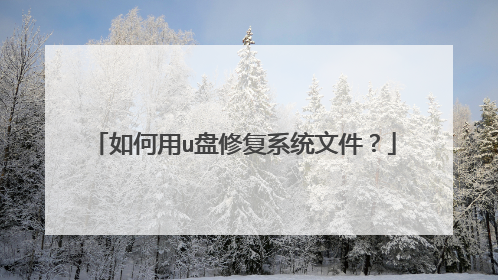 如何用u盘修复系统文件？
