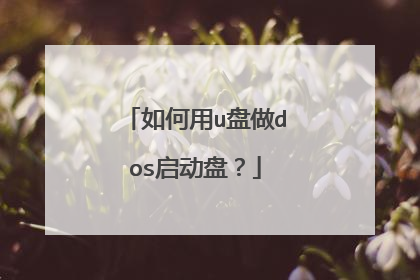 如何用u盘做dos启动盘？