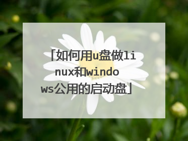 如何用u盘做linux和windows公用的启动盘