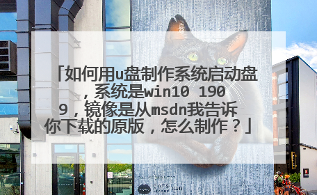 如何用u盘制作系统启动盘，系统是win10 1909，镜像是从msdn我告诉你下载的原版，怎么制作？