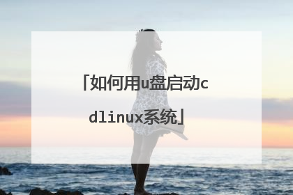 如何用u盘启动cdlinux系统