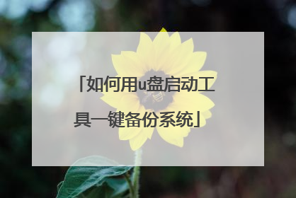 如何用u盘启动工具一键备份系统