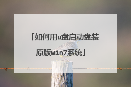 如何用u盘启动盘装原版win7系统