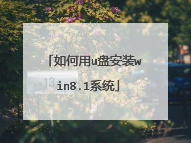 如何用u盘安装win8.1系统