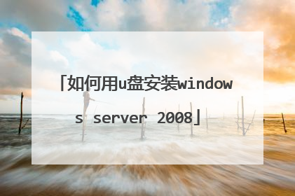 如何用u盘安装windows server 2008