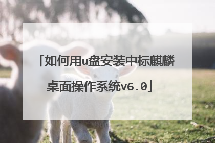 如何用u盘安装中标麒麟桌面操作系统v6.0