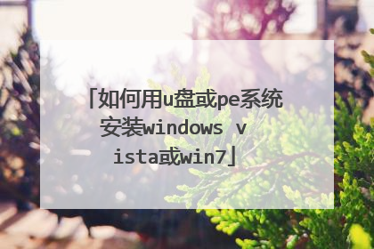 如何用u盘或pe系统安装windows vista或win7