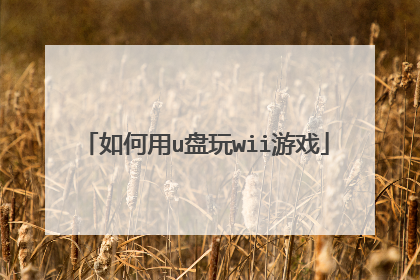 如何用u盘玩wii游戏