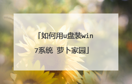 如何用u盘装win7系统 萝卜家园