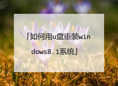 如何用u盘重装windows8.1系统
