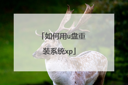 如何用u盘重装系统xp