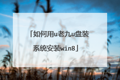如何用u老九u盘装系统安装win8