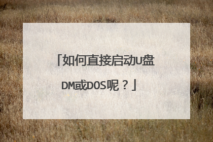 如何直接启动U盘DM或DOS呢?