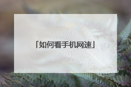 如何看手机网速