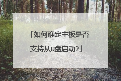 如何确定主板是否支持从U盘启动?