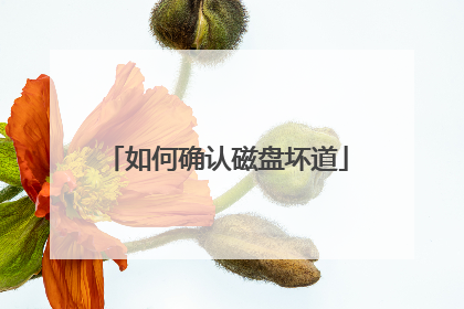 如何确认磁盘坏道