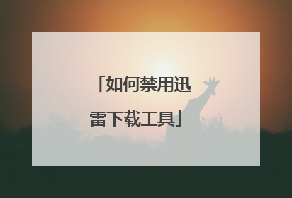 如何禁用迅雷下载工具