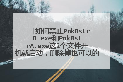 如何禁止PnkBstrB.exe和PnkBstrA.exe这2个文件开机就启动,删除掉也可以的!请高手指点谢谢