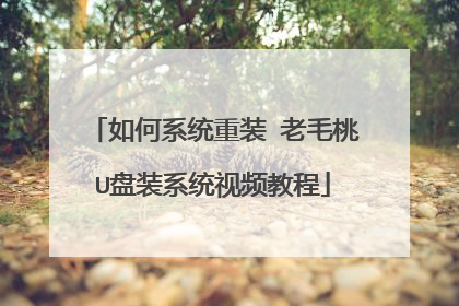 如何系统重装 老毛桃U盘装系统视频教程