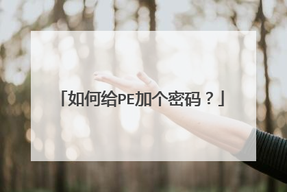 如何给PE加个密码？